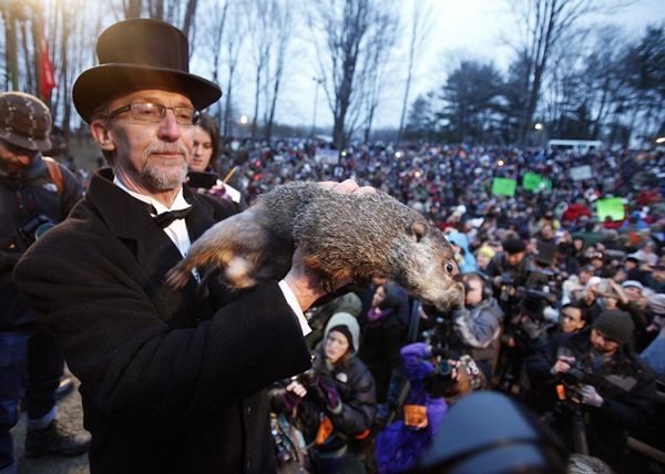 El adiestrador Ron Ploucha sostiene a la marmota Phil, durante el "Dia de la Marmota". | EFE