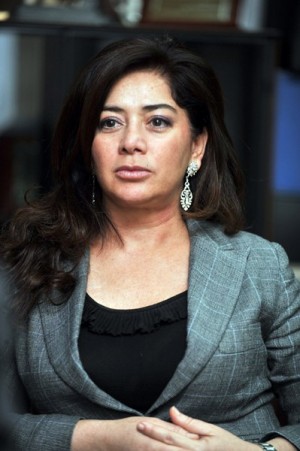 Beatriz Barrera, presidenta del Consorcio de la Zona Especial Canaria (ZEC). | F.P.
