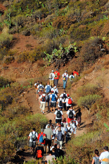 El Cabildo recomienda las rutas tradicionales a los peregrinos. / DA