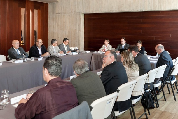 Presentación del Plan de Marketing de Canarias 2013 al Consejo Canario de Turismo. | DA