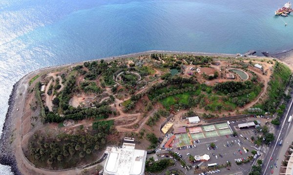 Apuesta para que la Fundación Santa Cruz gestione el Palmetum