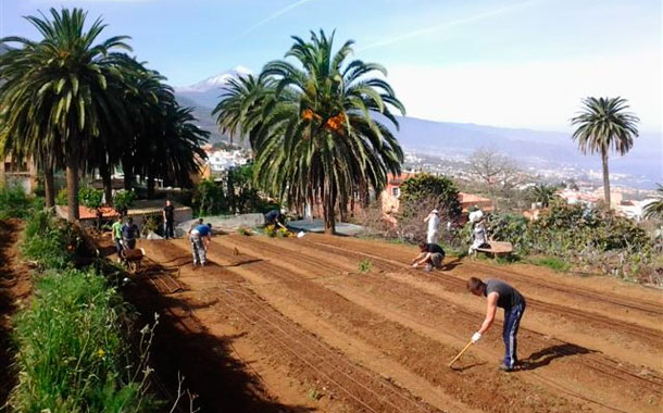 Agricultura ecológica Cáritas Tenerife