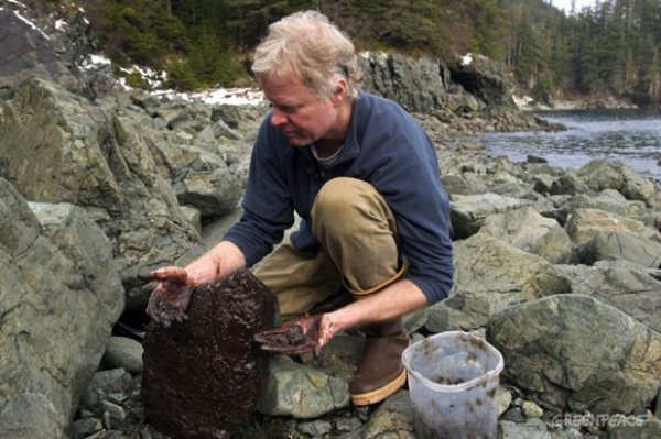 Rick Steiner, de la Universidad de Alaska, examina restos de crudo, en una imagen tomada por Greenpeace./ DA