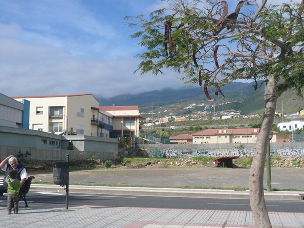 terrenos nuevo colegio Punta Larga rambla de Los Menceyes