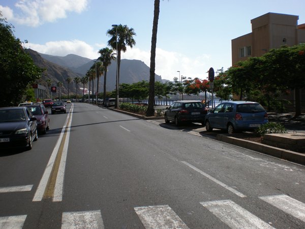 El Cabildo se encargará del mantenimiento de las zonas verdes de la autovía de San Andrés. | DA