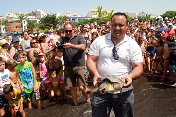 Numerosos bañistas, entre ellos niños, presenciaron la suelta de tortugas. / DA