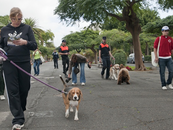 Durante todo 2013, se pusieron 24 multas por dejar excrementos de mascotas en la vía pública. / JAVIER GANIVET