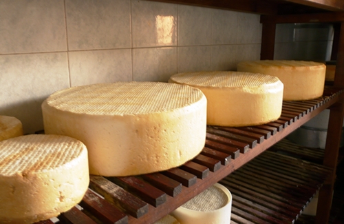 Si no abre este ahumadero de El Tablero, el stock de queso ahumado puede peligrar. / DA