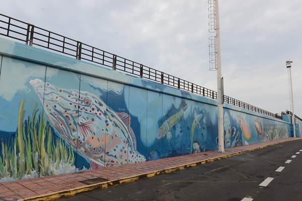 El mural ocupa los 500 metros de longitud desde la punta del puerto hasta la playa de Las Vistas, con un gran colorido y muestra de la riqueza marina de la zona. | SERGIO MÉNDEZ