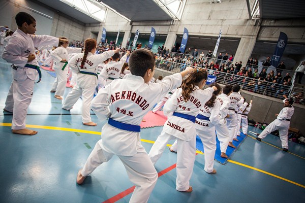 Los jóvenes del taekwondo mostraron su buen nivel. / DA