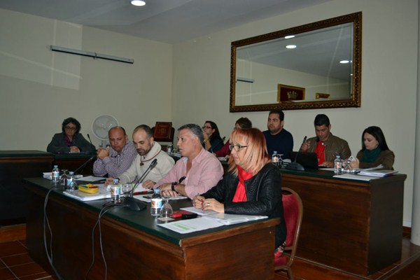 El Pleno municipal aprobó por unanimidad la factura electrónica. / DA