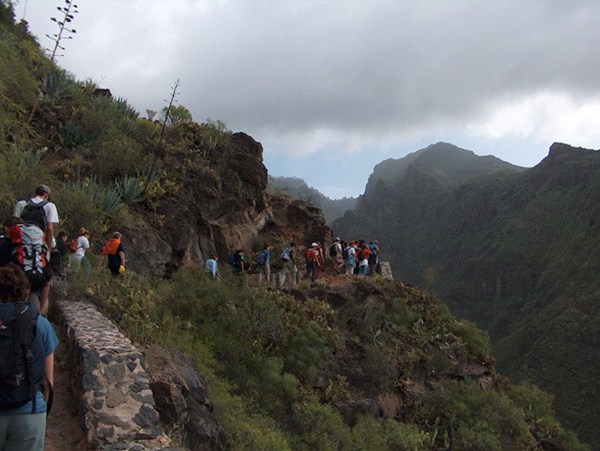 El Barranco del Infierno ha sido, después del Teide, el paraje natural más visitado de Tenerife. / DA
