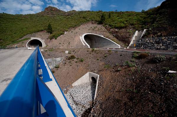 Las filtraciones se hallaron en la salida de una de las bocas del túnel de El Bicho. | FRAN PALLERO
