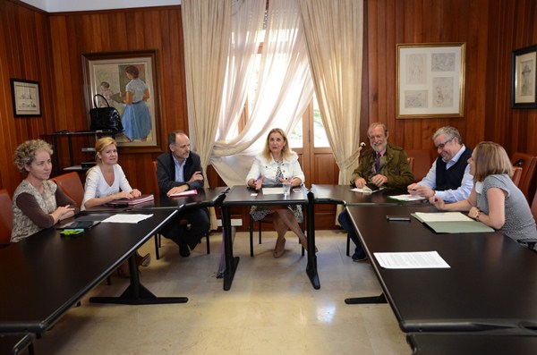 El grupo de trabajo se reunió recientemente en el Palacio Insular. / DA