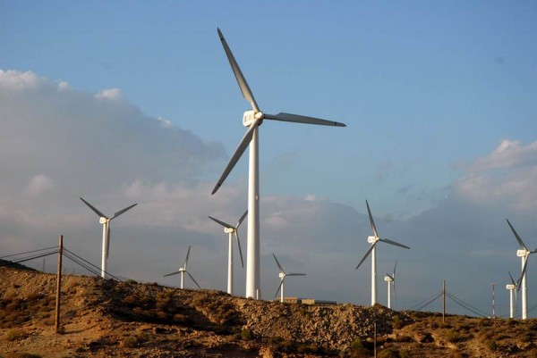 La cooperativa garantizará electricidad con energía eólica. | DA