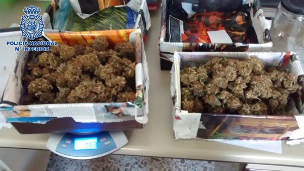 Marihuana incautada en Punta del Hidalgo. | POLICÍA