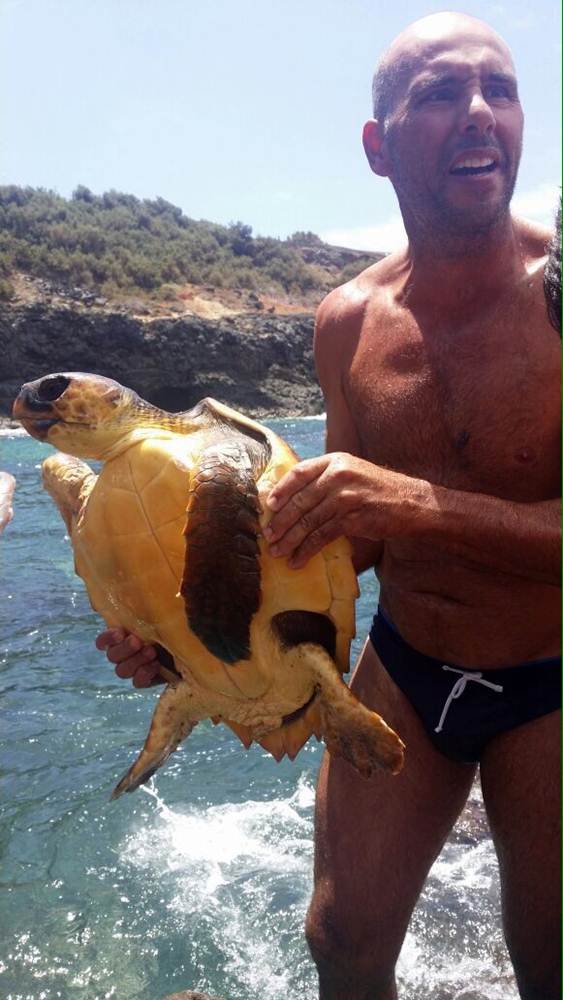 tortugas rescatadas en Tejina 3 ok