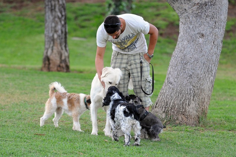 El parque para perros en La Granja es el más demandado por los dueños de mascotas en el centro. / S. M.