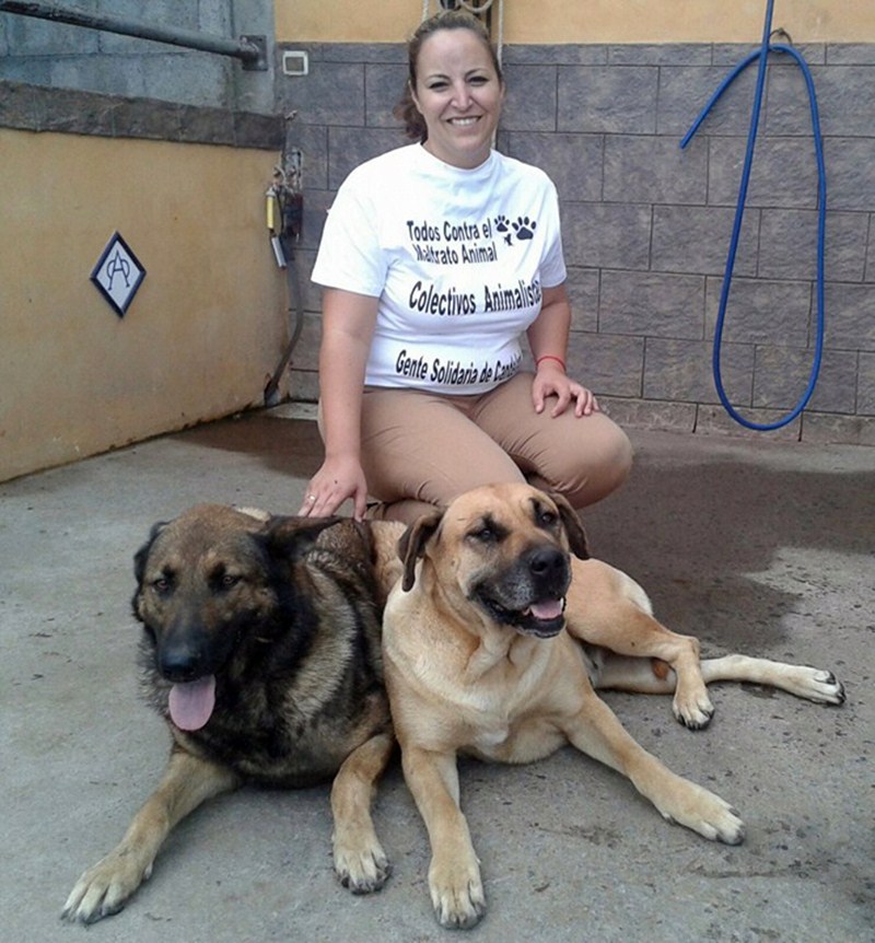 Vaitiare Rodríguez, concejala de Sanidad, con sus dos perros. / DA