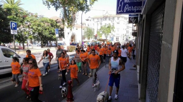 Más de 200 personas y sus mascotas participaron en el paseo. / DA