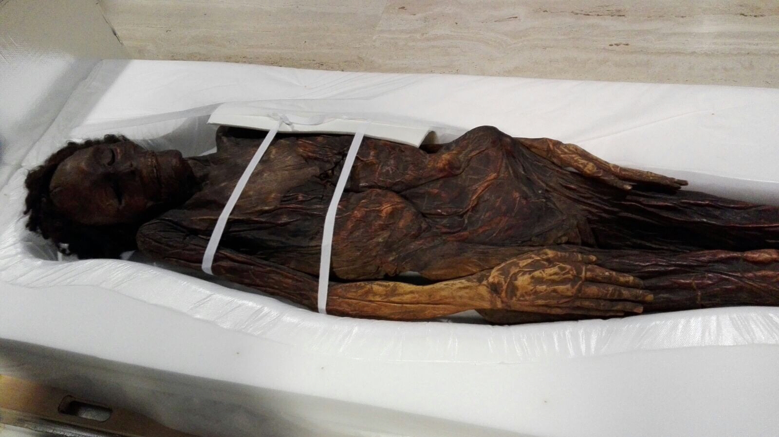 El Senado ya aprobó una moción para que vuelva a las Islas esta momia de Erques hallada en el siglo XVIII. / DA