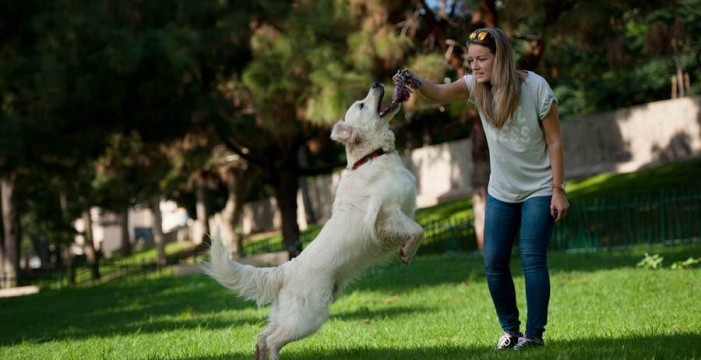 El parque La Granja estrena un nuevo espacio para perros