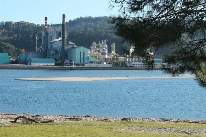 Una de las centrales de biomasa de la empresa Ence en la Península. /DA