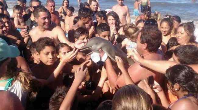 Sacan a un delfín del mar para hacerse fotos con él y muere
