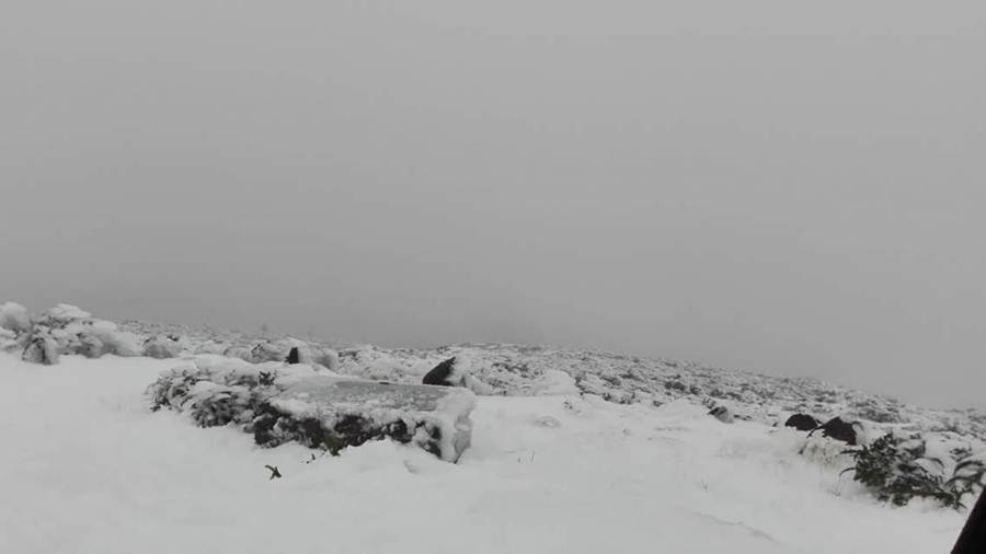 La Palma nevada 2