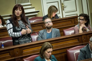 Integrantes del grupo de Podemos en el Parlamento de Canarias. / ANDRÉS GUTIÉRREZ