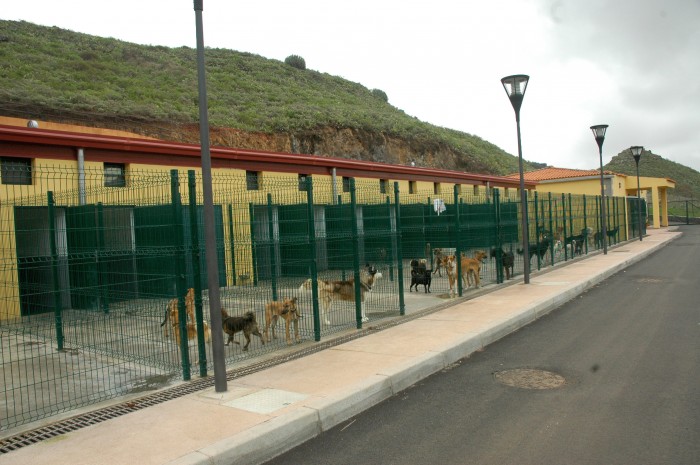 El albergue para animales abandonados se ubica en Finca España, en La Laguna. / F. P.