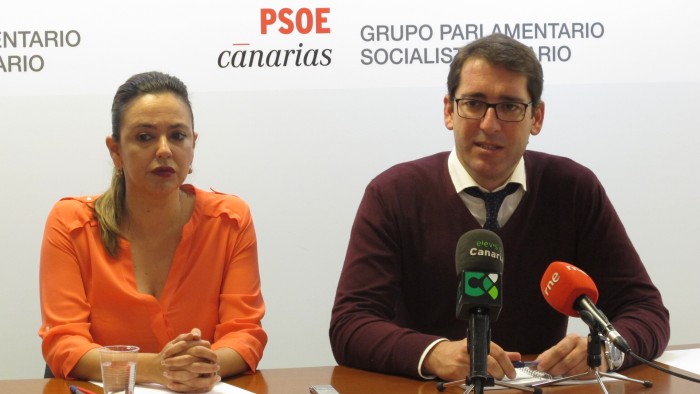La presidenta del grupo parlamentario Socialista canario, Dolores Corujo, y el portavoz, Iñaki Lavandera. / DA