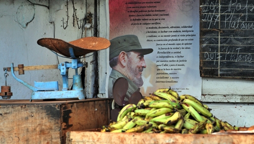 El Gobierno de Cuba estimula la producción de alimentos en la isla