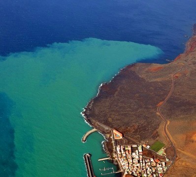 La erupción volcánica alteró el ecosistema marino insular