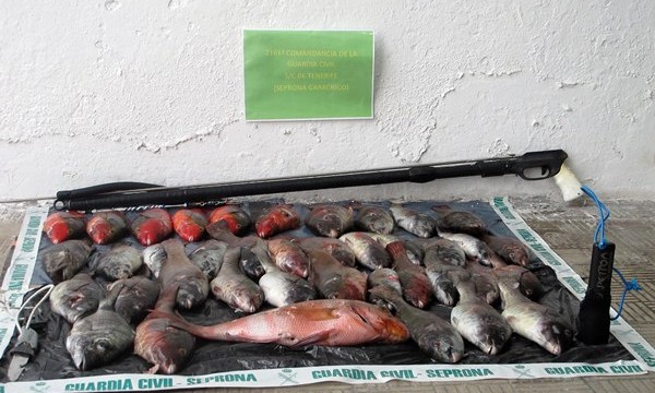 Requisan en la Caleta de Interián 18 kilos de pescado a un buceador furtivo