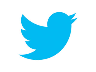 Twitter pierde 460 millones de euros y dos millones de usuarios en 2015