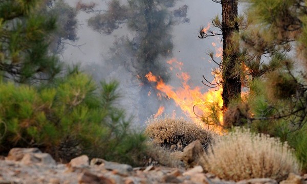 El fuego en Tenerife ya arrasa unas 2.000 hectáreas y se espera la llegada de los hidroaviones