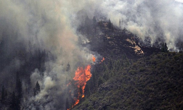 La mitad de los fuegos forestales de este año se debe a las imprudencias