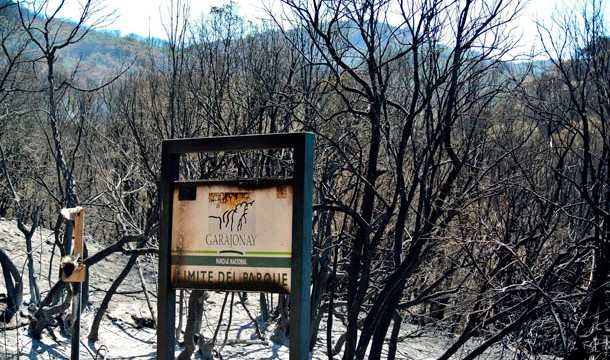 Los restos del incendio de La Gomera, un peligro latente