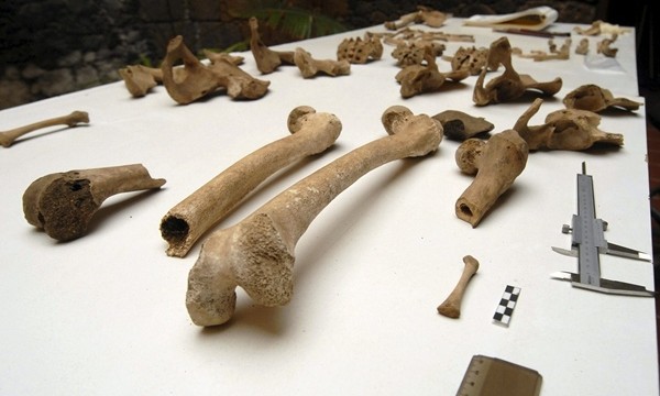 El Cabildo de El Hierro constata el hallazgo de restos óseos de aborígenes bimbaches 