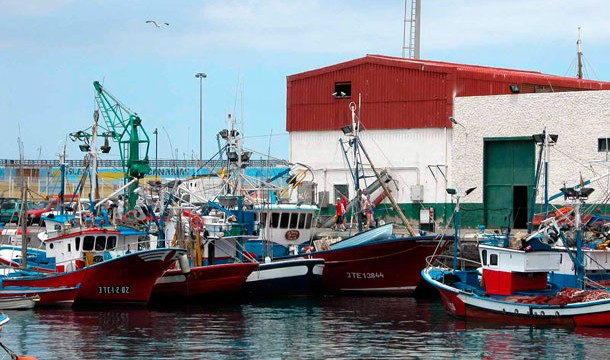 El Ayuntamiento de Arona, “a pesar de los errores del pasado”, apoya a los pescadores