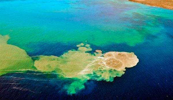 Una campaña científica del IEO confirma la recuperación de los fondos afectados por la erupción submarina en El Hierro