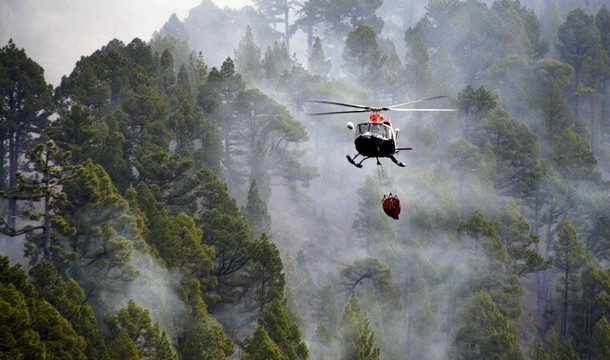Un incendio forestal quema cinco  hectáreas de pinar en Garafía