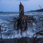 Japón después de la ola. DANIEL BEREHULAK (GETTY IMAGES)