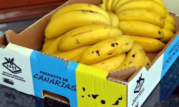 El plátano de Canarias desembarca por primera vez en Reino Unido