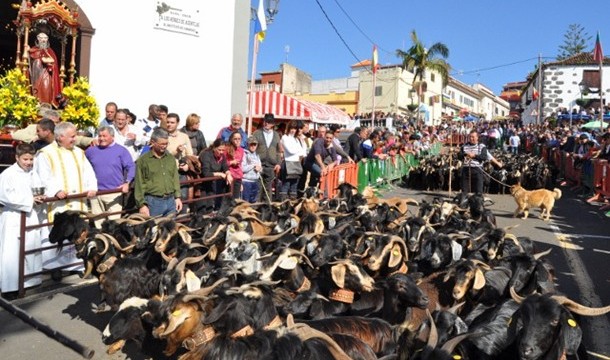 Cerca de 10.000 personas y 1.400 cabezas de ganado participaron en la Octava Ganadera