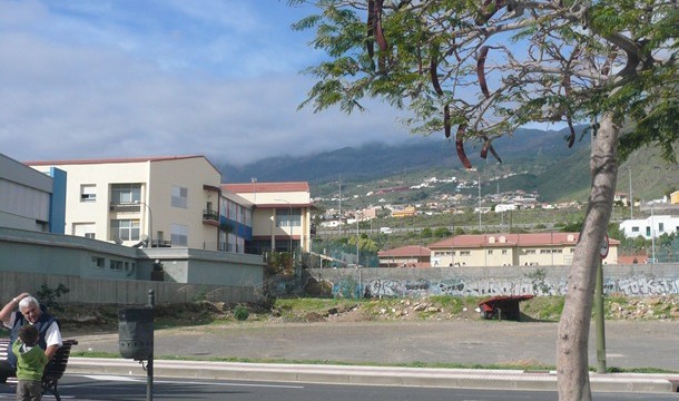La zona de Punta Larga contará con un nuevo colegio de Primaria 