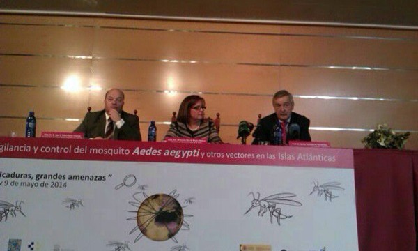 Canarias: tierra libre de dengue  