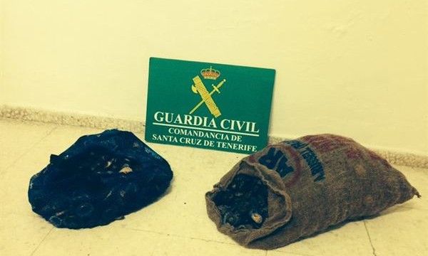 La Guardia Civil se incauta de 20 kilos de lapas en Buenavista