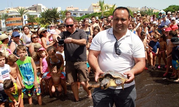Liberadas dos tortugas marinas  en aguas de Playa San Juan